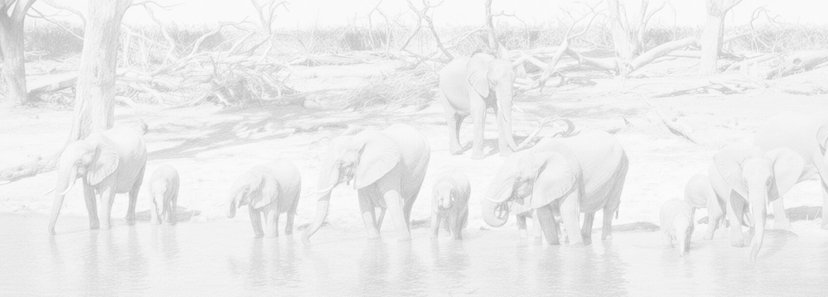 بوتسوانا طلب تأشيرة ومتطلبات