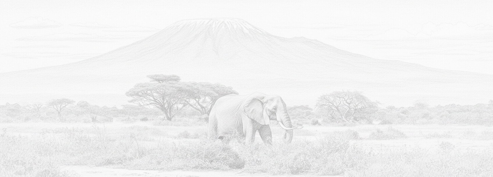 الكاميرون طلب تأشيرة ومتطلبات