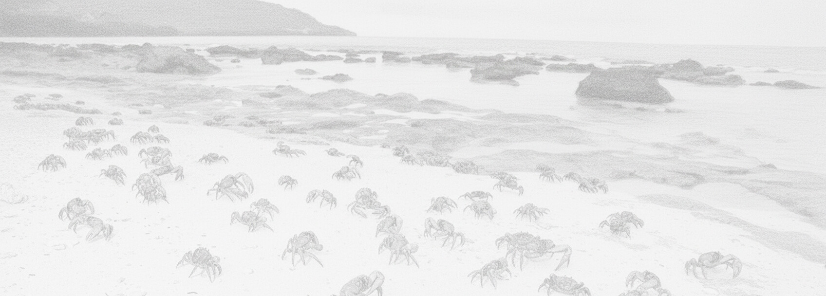 جزيرة كريسماس طلب تأشيرة ومتطلبات